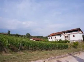 Tenuta Tralice