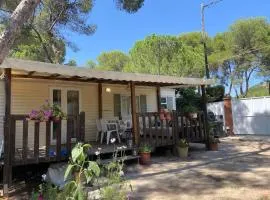 Mobil home Calicanto