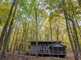 Autumn Wings - Propane Grill, Wifi, Kid Friendly, King Bed, Games, Screen Porch, Pool Access, Hiking