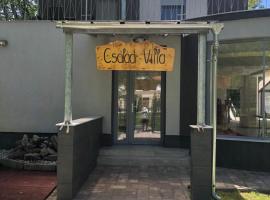Családi Villa，位于鲍洛通塞迈什的酒店
