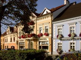 莫德拉弗兹达酒店餐厅，位于Dobřany的酒店