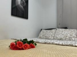 Parkcity Bogucice Karoliny，位于卡托维兹的酒店