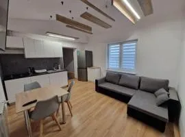 Apartamenty Herman