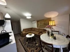 Cosy apartment