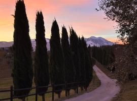 Agriturismo La Masseria - La casa tra gli alberi，位于Cugnoli的农家乐