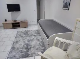 studio charmant canapé lit Netflix Prime video wifi