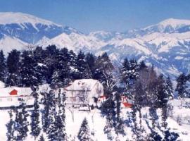 Alps Resort，位于戴尔豪斯的酒店
