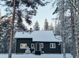 Villa Kaikuranta，位于讷利莫的酒店