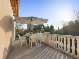 Maison Saint-Raphael - Les vignes