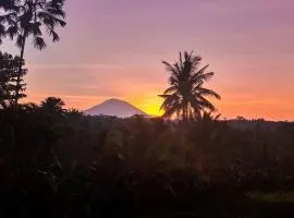 Dukuh Ubud Villa #1 Ricefield View