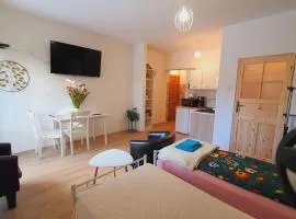 Apartament 1 przy Termach Cieplickich