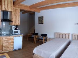 S Neries 19 apartamentai su parkingu，位于希奥利艾的自助式住宿