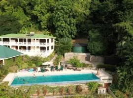 Authentic St, Lucian Experience at Prestigious Villa - Colibri Cottage villa