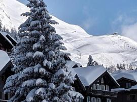 Imhof Alpine B&B Apartments，位于贝特默阿尔卑的住宿加早餐旅馆