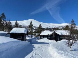 Hito - cabin between Flå and Eggedal，位于弗洛的度假屋