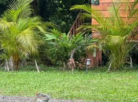 Cabañas Del Lago / Bungalows