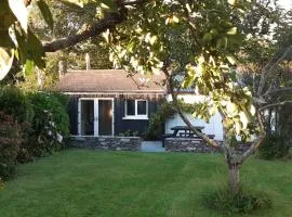 Cosy Cabin near Lough Hyne