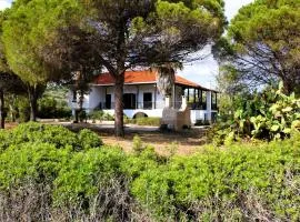 The Sisters Beach House