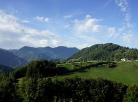 Brettmaisserhof，位于Ternberg的酒店