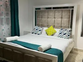 1 bedroom apartment in nanyuki -california plaza