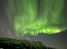 Malangen Arctic Sealodge Cabin 10，位于Meistervik的酒店