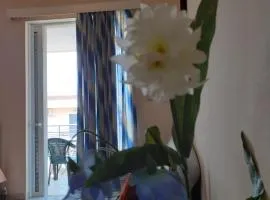 a comfortable studio near the University