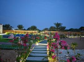 Damas Resort，位于Mezairaa的带泳池的酒店