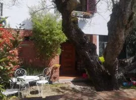 LA Casa dei Quadri di Lucca