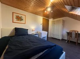 Beishan Appartements Nürnberg in Zentrum Dachgeschoss