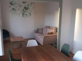 Maison 6 couchages avec jardin au coeur des châteaux de la Loire