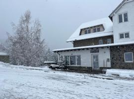 Apartmajska hiša Breza，位于Ribnica na Pohorju的公寓