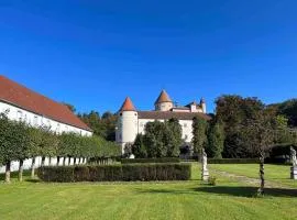 Charming Castle in Austria
