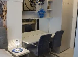 Apartman "INSOMNIA" u samom centru grada, udaljen 100 metara od glavnog gradskog trga, sa BESPLATNIM PARKIRALIŠTEM !!!