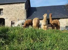 Gîte de France Des alpagas 2 épis - Gîte de France 12 personnes MAE-9944
