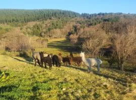 Gîte de France Des alpagas 2 épis - Gîte de France 6 personnes MAE-9784