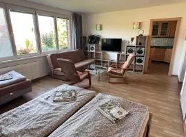 Apartmány U rybníka