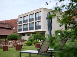 WeinHotel Fritz Walter，位于Niederhorbach的酒店