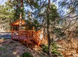 Pine View Lodge: A Lovely Dog Friendly 3 Bedroom within Walking Distance to Midtown!