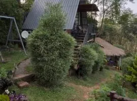 Angels Nest Home stay 2 Acra private plantation Mountain area balconey SunRice view Nearby Ngarhole wild life , Tholpetty wild life , Pakshipathalam Bird santuary , Kuruva island # Thirunelly & Thrissilery Temple Near by Secure Stay Wayanad Kerala