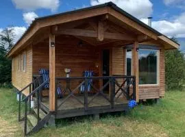 Cabaña laurel lago panguipulli