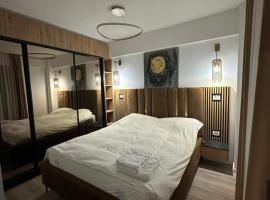 Q Business Apartment，位于蒂米什瓦拉的舒适型酒店