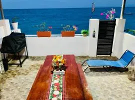 Samanthas Cove Private Beach House Oslob Cebu locals call it the White House