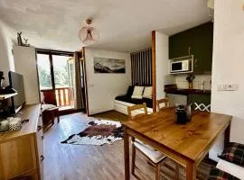 The Edelweiss- Renovated studio for 4 people!