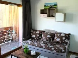 Les Chalets De Superd Dauphinelle - APPARTEMENT 10 PERSONNES EXPO SUD BALCON MAE-8314