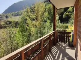 Résidence Le Palatin - CHALEUREUX APPARTEMENT AU PIED DES PISTES - 4/6 PERS MAE-3484