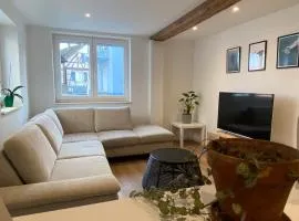 Appartement confortable