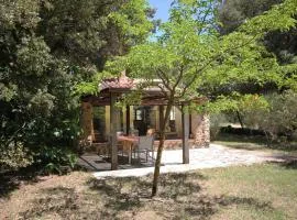 Lou Petarel Charming house with shared pool nature an calm in Provence