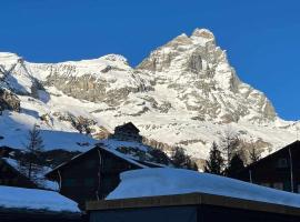 Casa a Cervinia sulle piste，位于布勒伊-切尔维尼亚的公寓