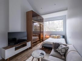 Queen Loft in Nature，位于多伦多的酒店