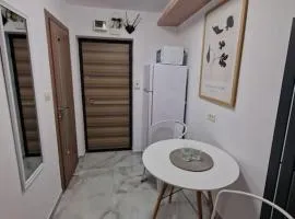 Apartament cu o camera